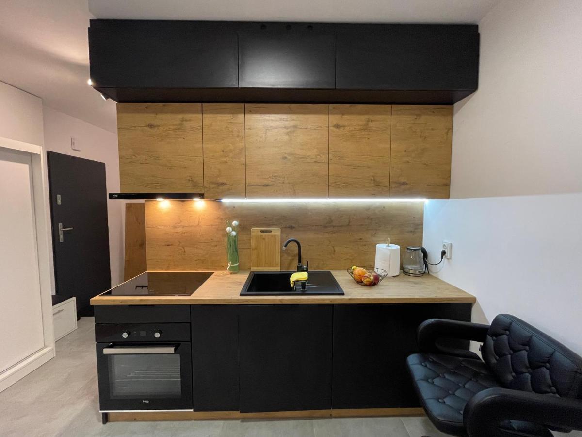 Katowice Apartament Spodek Modrzewiowa 24アパートメント エクステリア 写真