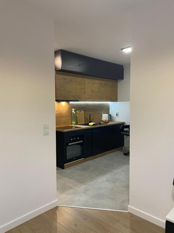 Katowice Apartament Spodek Modrzewiowa 24アパートメント エクステリア 写真